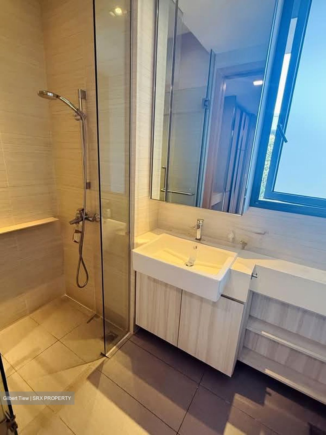 Seventy Saint Patrick's (D15), Condominium #533388011